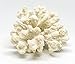 White Resin Sea Coral Piece | 3.5