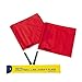 Mikasa Volleyball Line Judge's Flags,Red,Large