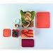 Reusable Lunch Containers - Set of 4 Microwave Safe, Meal Prep Stackable Nesting Containers, Pack Food, Snacks & Sauces in Leak Proof Compartments w/Lids, Easy to Clean, Fits in Bags & Bento Boxes