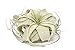 Tillandsia Xerographica Air Plant, Tillandsia Air Plants Live Large Indoor Plants Live Houseplants, Exotic Plants for Succulent Terrarium, Fairy Garden Decor, Succulents Live Plants by Plants for Pets