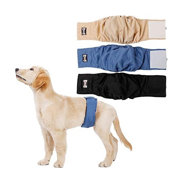 washable belly bands for dogs