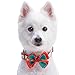 Blueberry Pet 4 Patterns Christmas Moments of Fantasy Embrace Nature Designer Adjustable Bowtie Dog Collar, Medium, Neck 14.5