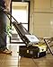 Multi Surface Scrubber, 13 In.
