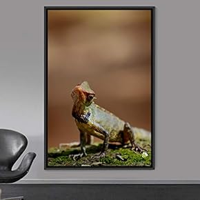 signwin Framed Canvas Wall Art Reptile Contemporary Dramatic...