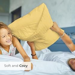 King Pillow Cases Set of 2 - Soft, Hotel Quality