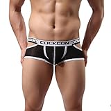 Voberry® Men Underwear T-back Sexy Translucent Triangle Briefs Breathable Underpants (M, Black)