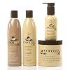 Coconut Oil Hair Care 4 Piece Set – Revitalize and Nourish Dry or Damaged Hair