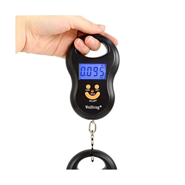 WiseField-110lb-50kg-Electronic-Digital-Fish-Luggage-Hanging-Hook-Scale-with-Backlit-Display