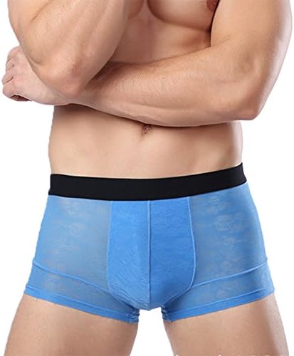 Fenyi Men's Breathable Transparent Bamboo Fiber Boxer Underwear Modal Briefs Blue L