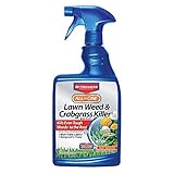 Bayer Advanced All in One Lawn 1.3G Weed & Crabgrass Killer, 24-Ounce, Ready-to-Use