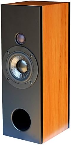 The Canoe Two-Way nearfield Transmission line Desktop Speaker, Satin Black and Spanish Cedar Real Wood Veneer (Each)