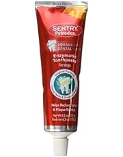 Amazon.co.uk | Toothpaste for Dogs