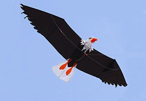 FZSWD Kites Outdoor Fun Sports 2M High Quality 3D Eagle Kite/Desert Eagle With Handle And 30M Line Easy Control Good Flying