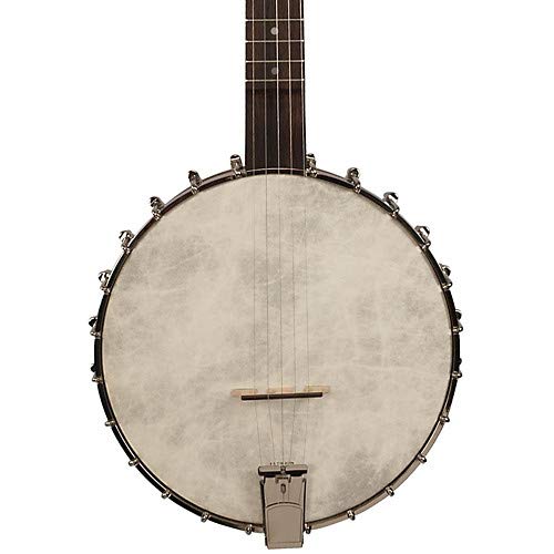 The 4 Best Clawhammer Banjos Frailing Banjo Reviews 2019