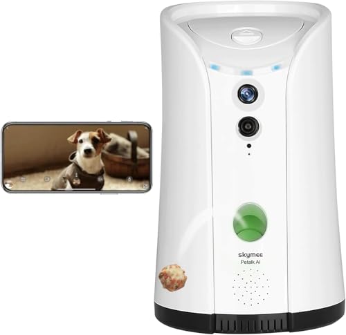 SKYMEE Petalk AI Camera