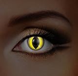 Adults Mens Ladies Yellow Cat UV Halloween Carnival Cosmetic Coloured Fancy Dress Eye Wear Accessory with Contact Lens Case exclusive to Dress You UP TM