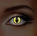 Adults Mens Ladies Yellow Cat UV Halloween Carnival Cosmetic Coloured Fancy Dress Eye Wear Accessory with Contact Lens Case exclusive to Dress You UP TM