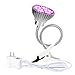 Morsen LED Grow Light 50W Clip Desk Lamp Full Spectrum with 360 Degree Flexible Gooseneck Light for Office, Home, Indoor Garden Greenhouse