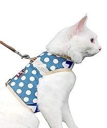 Yizhi Miaow Cat Harness and Leash for Walking