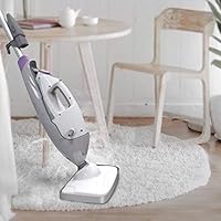 Light N Easy Steam Mops 5 In 1 Steam Cleaner Mopper Floor