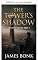Livro A sombra da Torre (Jericho Livro 1)