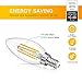 SHINE HAI Candelabra LED Filament Bulbs 40W Equivalent, 2700K Chandelier B11 LED Bulb E12 Base Decorative Candle Light Bulb, Pack of 12