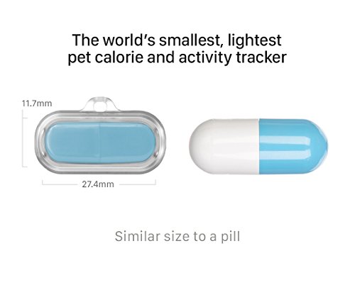 Bean Waterproof Pet Activity Tracker (Blue)