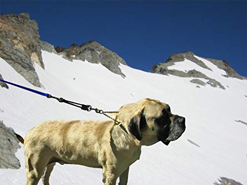 Jerk-Ease Bungee Dog Leash Attachment - Large Red - Thumbnail 7