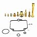 CQYD New Carburetor Repair Carb Rebuild Kit for 94-99 Suzuki DR350SE DR350 SE DR 350
