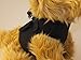 Snazzi Pet Soft No Pull Step-in Dog Harness Small Dog XXS XS Vest for Teacup, Chihuahua, Yorkie, Pomeranian Dog Vest Harness for Puppy Black Mesh Comfy (2-4 lbs)