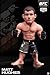 Round 5 UFC Series 12.5 Limited Edition Action Figure - Matt Hughes