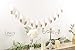 Ling's moment 6FT Champagne Gold Dipped Feather Banner Garland for Boho Bedroom Decor Nursery Mobile Ceiling Decor, Kids Teepee Decor, Hoho Party Decor