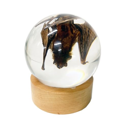 REALBUG Hanging bat Globe
