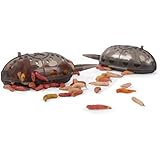 Maver Powerlite Feeder System 11ft 12ft 13ft Amazon Co Uk