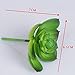 Robibabi Artificial Flower, Pack of 5 Assorted Artificial Echeveria Succulent Picks in Flocked Green and Green 4