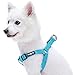Blueberry Pet Essentials Step-in Dog Harness, Medium Size | Adjustable Turquoise Vest | Classic Solid Nylon for Boy & Girl Dogs, Chest Girth 20
