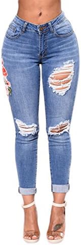 Women Embroidered Floral Holes Skinny Ripped Demin Jeans Pants Plus Size (XX-Large, Blue)