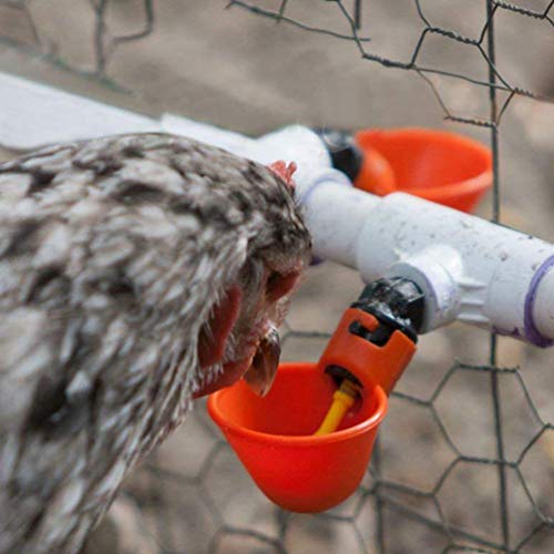 UPKOCH 15Pcs Automatische Huhntrinkmaschine Geflügeltrinkbecher Taubentränker Wachteltrinker Feederbecher für Heimfarm… – Bild 8