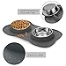 Double Dog Cat Bowls 2 Stainless Steel with No Spill Non-Skid Silicone Mat, Pet Food Water Feeder Bowl for Small Medium Large Dogs, Puppies, and Pets