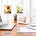 MANGZ 15 Pack 8.75 Inch Tall Table Number Holder, Place Card Holder, Wire Photo Holder Clip Perfect for Weddings, Banquets