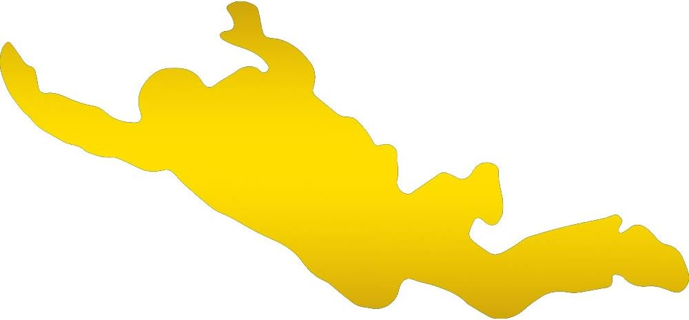 NBFU DECALS Skydiving Freefall (Metallic Gold) (Set of 2) Premium Waterproof Vinyl Decal Stickers for Laptop Phone Accessory Helmet Car Window Bumper Mug Tuber Cup Door Wall Decoration