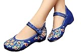 AvaCostume Women's Chinese Embroidery Casual Mary Jane Travel Walking Shoes Blue 39