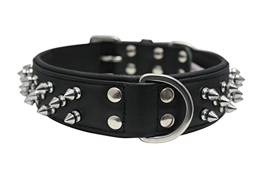 Spiked Studded Leather Dog Collar, Wide, Padded, Double-Ply, 22" x 1.5", Black, Leather (Amsterdam) Boxer, Retriever, Pit bull Terrier