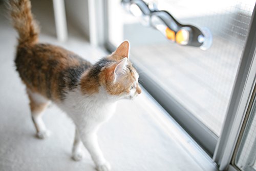 K&H Pet Products EZ Mount Track n' Roll 23' Interactive Cat Toy Mounts to Windows