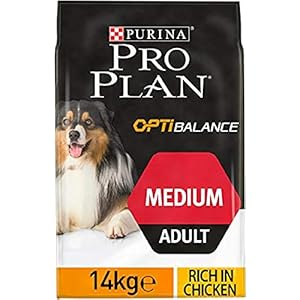 Purina Pro Plan Everyday Nutrition, Medium Adult, Pienso para Perro Mediano Adulto, comida seca con Pollo, 1 saco de 14kg