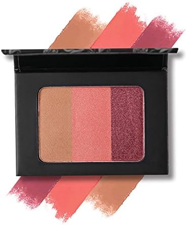 3 Colors Face Blusher Powder Palette Cosmetic Makeup Kit