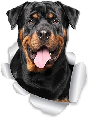 thumbnail interactive-video image 1 of Rottweiler Inside Decal Sticker – Vinyl Car Window Rottie Silhouette 1 of 2