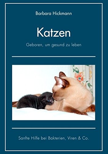 Katzen Geboren Um Gesund Zu Leben Sanfte Hilfe Bei Bakterien