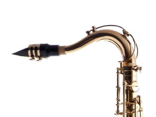 Fever Tenor Saxophone Lacquered Gold with Case, Mouthpiece and Reed, WALTER