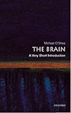 The Brain: A Very Short Introduction (Very Short Introductions)